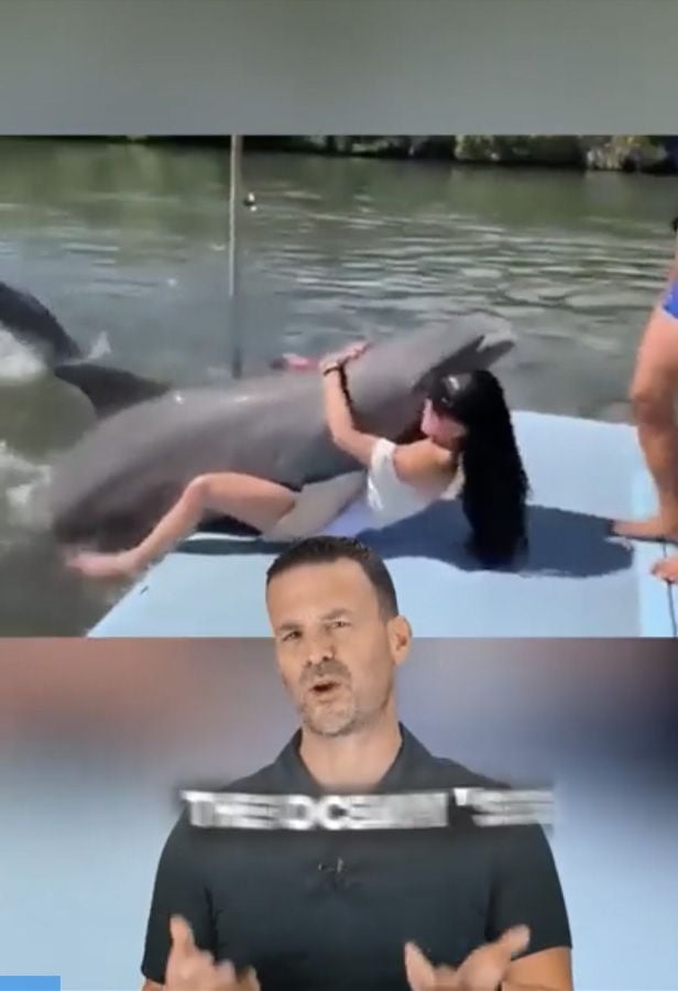 AlphaGummy video - woman hugging dolphin